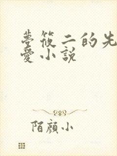 梦筱二的先婚后爱小说