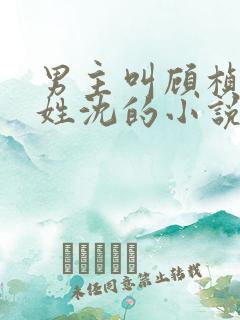 男主叫顾桢女主姓沈的小说