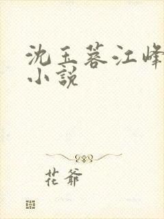 沈玉蓉江峰全文小说