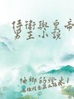 侍卫与皇帝的双男主小说