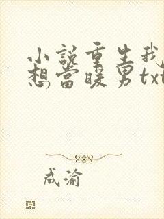 小说重生我真没想当暖男txt