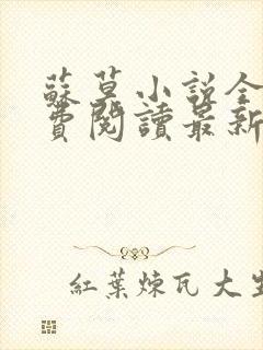 苏莫小说全文免费阅读最新章节