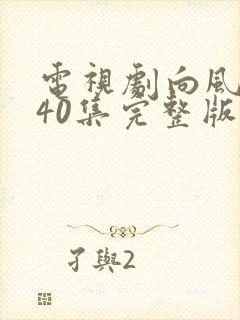 电视剧向风而行40集完整版在线观看