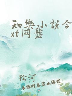 知乐小说合集txt网盘