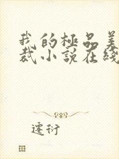 我的极品美女总裁小说在线收听