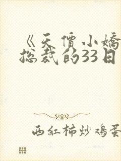 《天价小娇妻:总裁的33日索情》