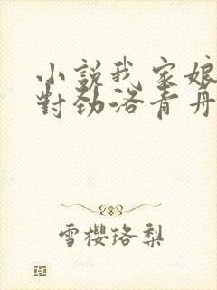 小说我家娘子不对劲洛青舟全文下载