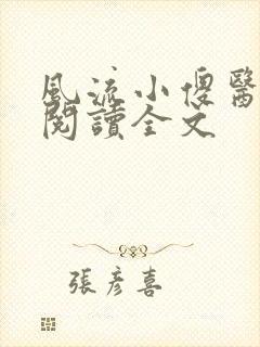 风流小傻医免费阅读全文