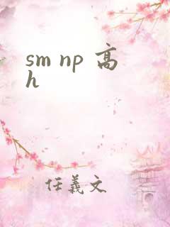 sm np 高h