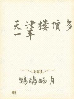 天津楼价多少钱一平