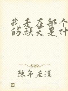 我走在那个下雨的秋天是什么歌的歌词