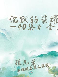 沉默的荣耀《1—40集》全集免费观看