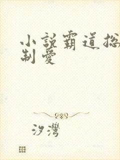 小说霸道总裁强制爱