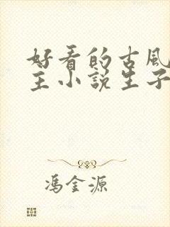 好看的古风双男主小说生子