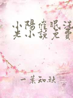 小阳催眠洗脑曹光小说免费阅读