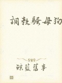 调教骚母狗np