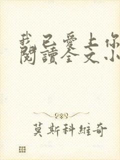 我已爱上你免费阅读全文小说