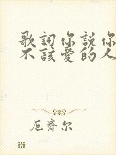 歌词你说你爱了不该爱的人是什么歌