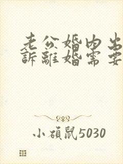 老公婚内出轨起诉离婚需要什么证据