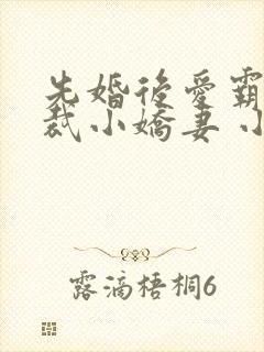 先婚后爱霸道总裁小娇妻 小说