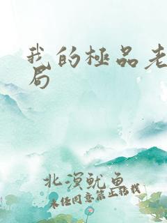 我的极品老婆结局