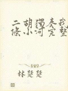 二胡独奏我是一条小河完整版