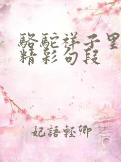 骆驼祥子里面的精彩句段