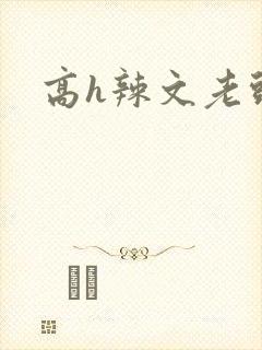 高h辣文老头