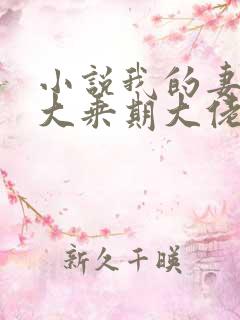 小说我的妻子是大乘期大佬