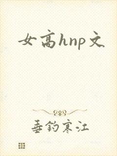 女高hnp文