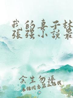 我的妻子林慧茹张强小说最新章节阅读