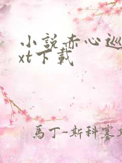 小说赤心巡天txt下载