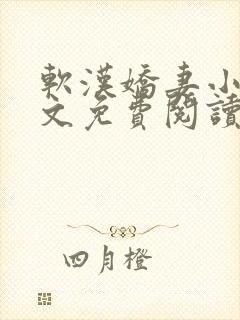 软汉娇妻小说全文免费阅读