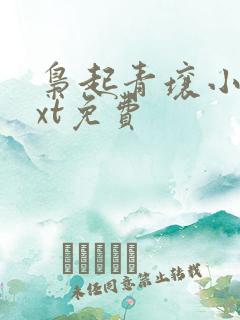 枭起青壤小说txt免费