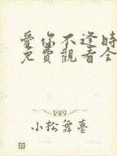 爱你不逢时短剧免费观看全集