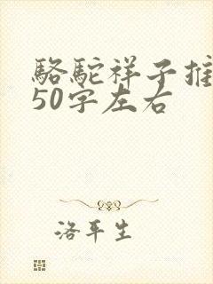 骆驼祥子推荐词50字左右