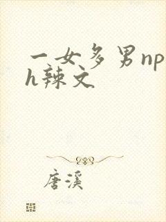 一女多男np高h辣文