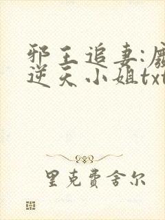 邪王追妻:废材逆天小姐txt