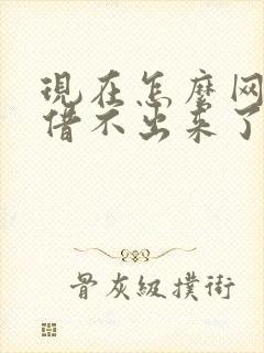 现在怎么网贷都借不出来了