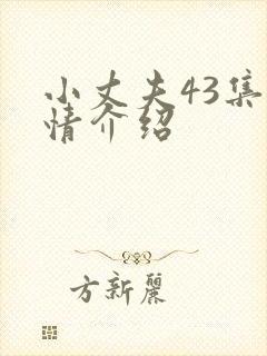 小丈夫43集剧情介绍