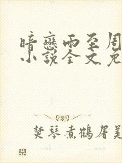 暗恋雨至周嘉让小说全文免费阅读