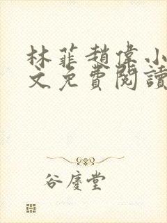 林菲赵伟小说全文免费阅读