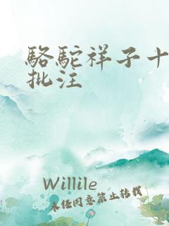 骆驼祥子十三章批注