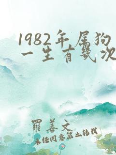 1982年属狗一生有几次婚姻