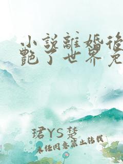 小说离婚后她惊艳了世界免费下载