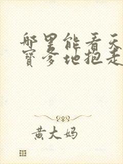 哪里能看天才萌宝爹地抱走妈咪短剧