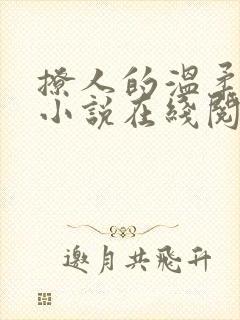 撩人的温柔赵东小说在线阅读