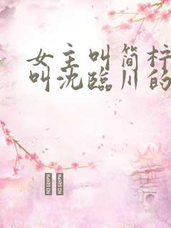 女主叫简柠男主叫沈临川的小说