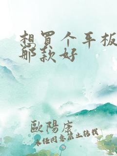 想买个平板画画那款好