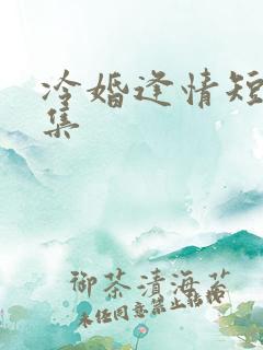 冷婚逢情短剧全集